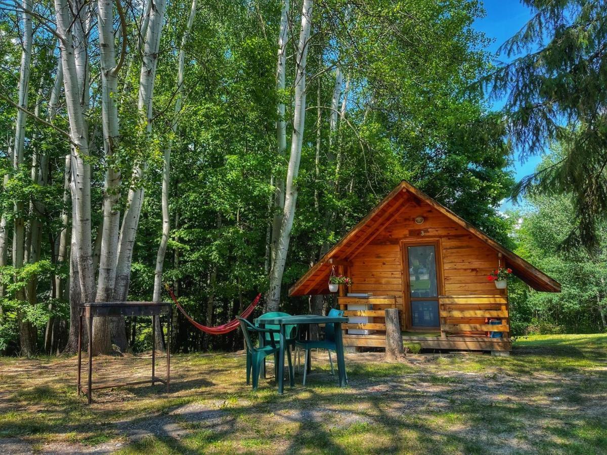 Camping Dragoske Ciofrîngeni エクステリア 写真