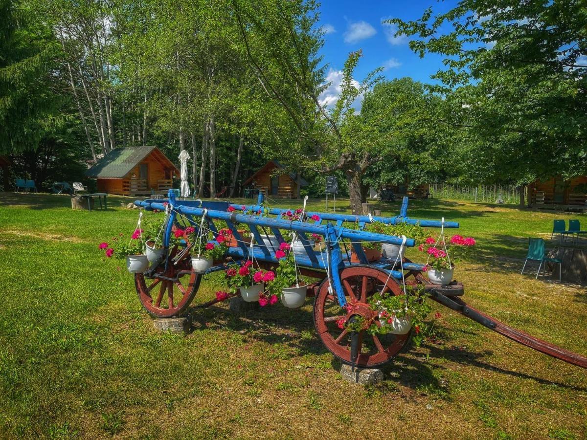 Camping Dragoske Ciofrîngeni エクステリア 写真